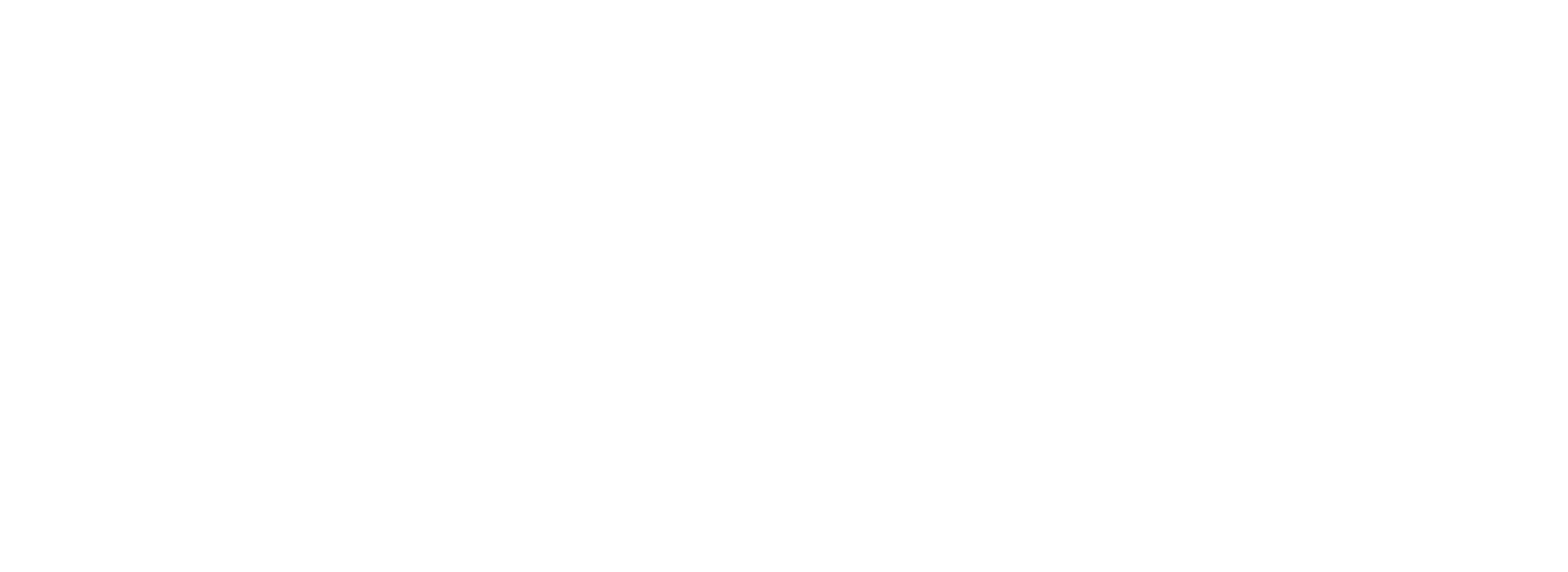 Stata/MP