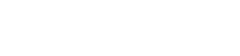 Stata/MP